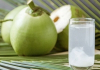 Uống nước dừa sau khi tiêm vaccine Covid-19 giúp sức khỏe mau hồi phục