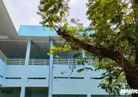 Nuôi vợ điều trị bệnh hậu Covid-19 ở bệnh viện, chồng chích điện giết chết vợ rồi tự tử 