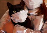 Những vật nuôi đầu tiên có biểu hiện viêm cơ tim sau khi mắc Covid-19