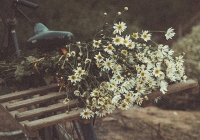 Hà Nội chớm đông: Mùa của những hồi ức