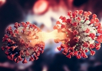 Chuyên gia cảnh báo siêu biến thể mới có thể sẽ xuất hiện nếu Omicron và Delta kết hợp