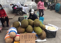 Hàng xuất nhập khẩu qua biên giới bị ùn ứ phải bán đổ trên đường