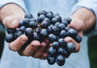 Những phong tục đón năm mới 'độc nhất vô nhị' ở các nước trên thế giới