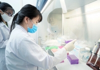 Nhiều người Việt mang đột biến gene ung thư di truyền