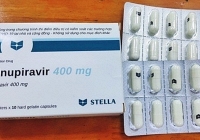 FPT ký hợp đồng phân phối thuốc điều trị Covid-19