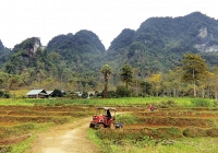 Phía làng Chục Muông chân núi Phù Thẩm Pụt