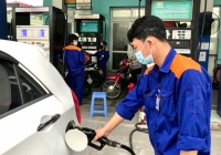 Làm gì khi giá xăng dầu tiếp tục tăng?