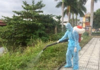 Bộ Y tế yêu cầu quyết liệt phòng dịch sốt xuất huyết, tay chân miệng