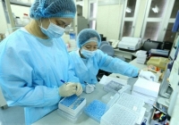 Nhà khoa học nữ trong đại dịch Covid-19: Chưa bao giờ yêu 2 tiếng 'bình thường' đến thế