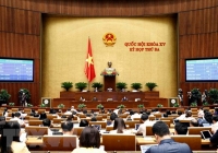 Thông qua Nghị quyết lập đoàn giám sát về sử dụng nguồn lực chống dịch