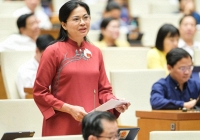 Chủ tịch Hội LHPN Việt Nam nêu 5 đề xuất vào dự thảo Luật Phòng, chống bạo lực gia đình (sửa đổi)
