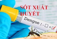 Tổ chức Y tế Thế giới khuyến cáo biện pháp phòng bệnh sốt xuất huyết