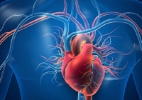 Ca ghép tim đầu tiên giữa hai người nhiễm HIV trên thế giới