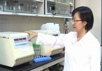 PGS.TS Nghiêm Thị Hà Liên – người phụ nữ đứng sau thành công quy trình tạo hạt nano vàng