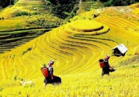 Xu hướng du lịch nào lên ngôi kỳ nghỉ lễ 2/9?