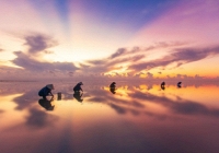 Khám phá “bãi biển vô cực” Thái Bình