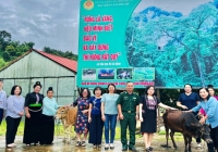 Hội Nữ trí thức Việt Nam hưởng ứng chương trình 'Đồng hành cùng phụ nữ biên cương' tại xã Nậm Lạnh