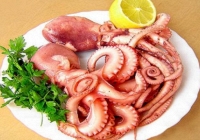 Ruốc lỗ Quảng Ninh: Món ăn đặc trưng hương vị biển