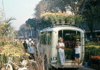 Viết cho người xa tháng chạp