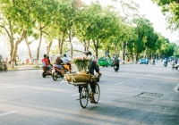 Miền Bắc giảm nồm ẩm, đón nắng ấm vào cuối tuần