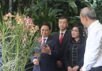 Singapore lấy tên Thủ tướng Phạm Minh Chính và Phu nhân đặt cho loài hoa lan mới