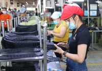 Lao động nữ trên 40 tuổi chật vật tìm việc