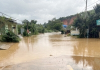 Thủ tướng Chính phủ ban hành Công điện chỉ đạo tập trung ứng phó mưa lũ, sạt lở ở Tây Nguyên