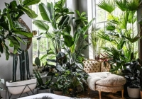 Có 3 loại cây nhà giàu chẳng bao giờ động đến, cố chấp chưng chỉ hao tài tốn của rước vận xui 