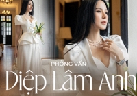 Phỏng vấn Diệp Lâm Anh: 'Tôi đấu tranh cho danh dự của mình và bằng mọi giá sẽ giữ lấy các con' 