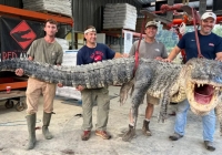 Thợ săn Mỹ: 7 tiếng như dưới địa ngục, đánh vật với cá sấu khổng lồ dài hơn 4,3 m, nặng 364 kg