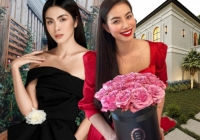 Khi hội nhà giàu 'tập làm nông dân': Tăng Thanh Hà tự trồng rau sạch, Phạm Hương sở hữu khu vườn với trái ngọt quanh năm 