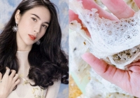 Vướng chỉ trích vì bị cho là cướp nhà chim yến, ca sĩ Thuỷ Tiên lên tiếng phân trần