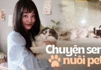 Nỗi niềm “con sen': Mỗi tháng tốn gần 5 triệu nuôi chó mèo, lỡ bị bệnh thì hết luôn 2 triệu/ tuần 