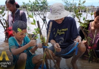 Phía sau bức vẽ cánh rừng của cậu bé lớp 4 và dòng chữ 'Không được chặt cây': Tụi em thích đi rừng đi biển lắm!