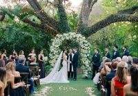 Đám cưới như tranh vẽ dưới tán cây cổ thụ của cặp đôi nên duyên trong... bệnh viện