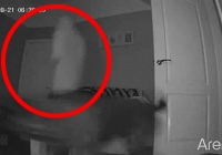 Lắp camera theo dõi thú cưng, cặp đôi phát hiện điều kỳ dị trong căn nhà cổ 135 năm tuổi
