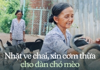 Chuyện bà Tuyết ve chai 26 năm nuôi đàn chó mèo bị bỏ rơi ở TP.HCM: 'Đau lòng khi bị trộm bắt đem bán…'