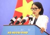 Việt Nam lên án mạnh mẽ các hành động tấn công bạo lực nhằm vào dân thường