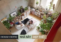 Vợ chồng Nhật Bản rút hết tiền tiết kiệm mua căn nhà thô rộng 58m2 để trồng cây, nội thất cũng tối giản hết mức