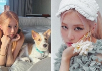 Qua một động thái, YG tự mình xác nhận Rosé là thành viên BLACKPINK duy nhất tái ký?