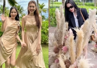 Những hình ảnh đầu tiên đám cưới Puka ở Cam Ranh: Thuý Ngân - Lan Ngọc sẵn sàng, hé lộ không gian 500 hoa sen đá 