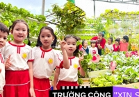 Mê mẩn vườn rau, khu vui chơi trên sân thượng của một trường mầm non công lập: Không gian xanh mướt, rau củ không thiếu gì