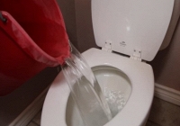 Thói quen đổ nước thải xuống bồn cầu tưởng là tốt hóa ra lại rất hại: Đây là 4 nguyên nhân