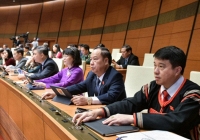 Đề nghị tăng cường phòng ngừa tội phạm xâm hại, bạo hành trẻ em