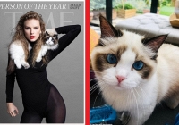 Mèo cưng mắt xanh 'quý hơn vàng' của Taylor Swift mới xuất hiện sang trọng trên bìa tạp chí cùng chủ nhân, có giá trị ước tính 2.400 tỷ VNĐ