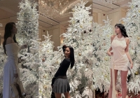 Dù gây tranh cãi về thái độ nhân viên nhưng cây thông Noel tại Park Hyatt vẫn được loạt KOL, diễn viên yêu thích chụp ảnh