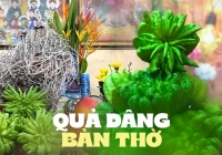 Lý do đặc biệt khiến nhiều người bày phật thủ trên bàn thờ ngày Tết