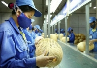 Thu nhập bình quân của lao động Việt Nam tăng 6,9%