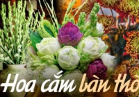 Loại hoa nào nên bày trên bàn thờ ngày Tết giúp thu hút tài lộc? Hoa cắm số chẵn hay số lẻ mới đúng?