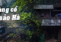 Ngắm ngôi làng Sảo Há ngoài đời thực - bối cảnh của bộ phim chiến thắng giải thưởng Phim truyền hình của năm tại WeChoice Awards 2023